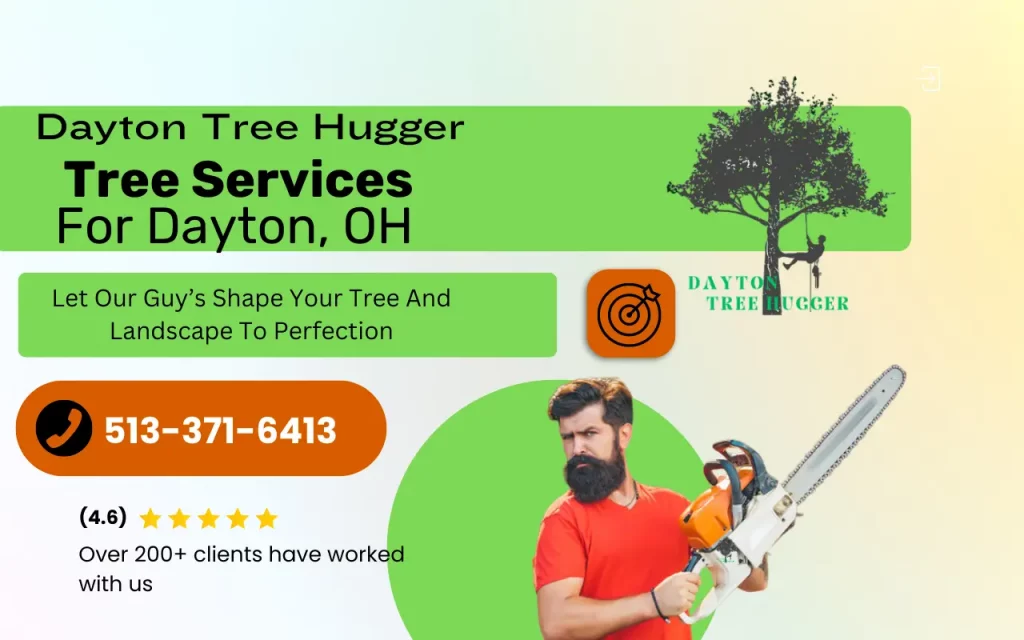 Dayton tree hugger about us hero