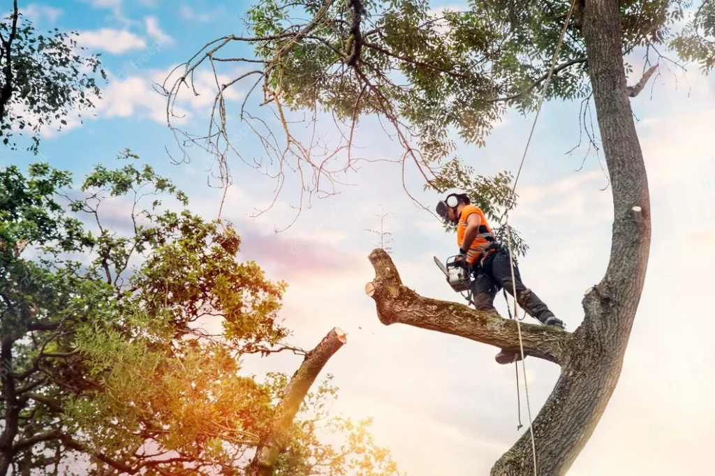 tree service